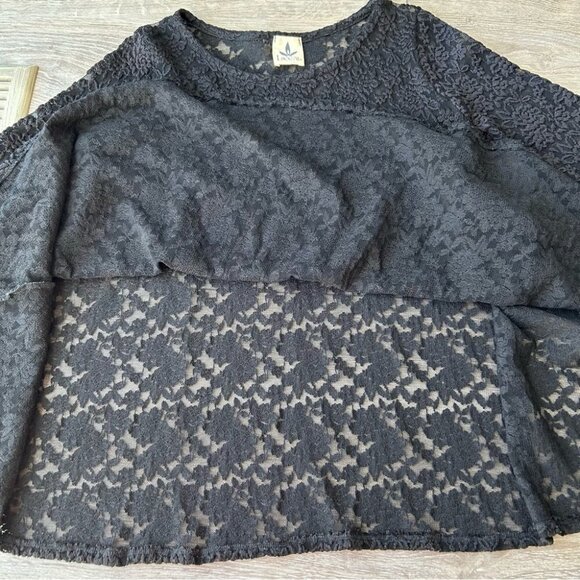 Local Semi Sheer Lace Flared Long Sleeve Top - Picture 9 of 14